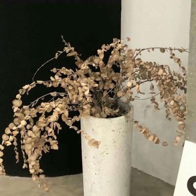 Furry插画创意构思兽圈群